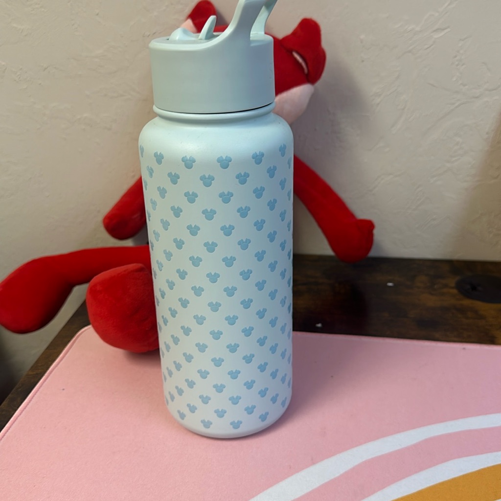 Water Bottle